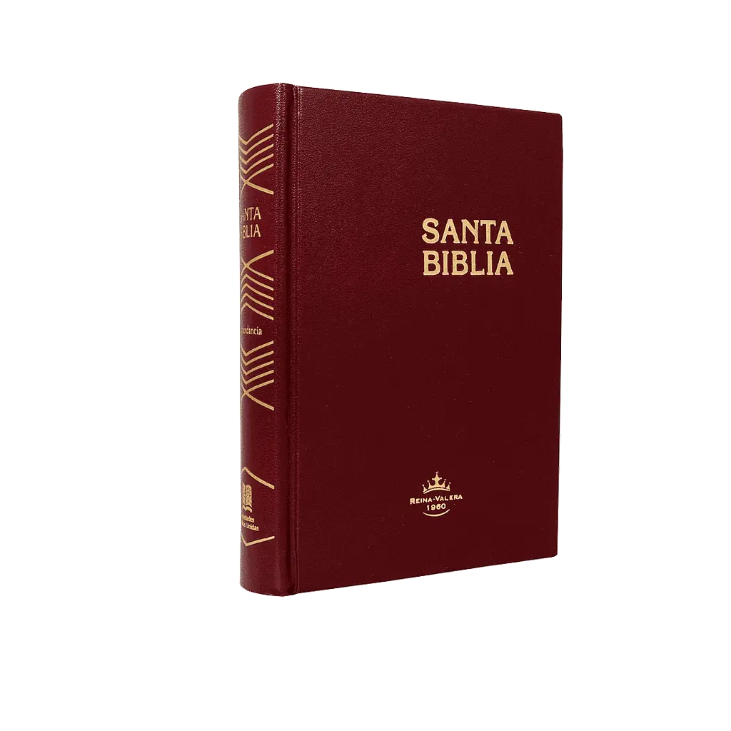 Biblia Reina Valera 1960 Chica Letra Chica Tapa Dura Vino [RVR043c]