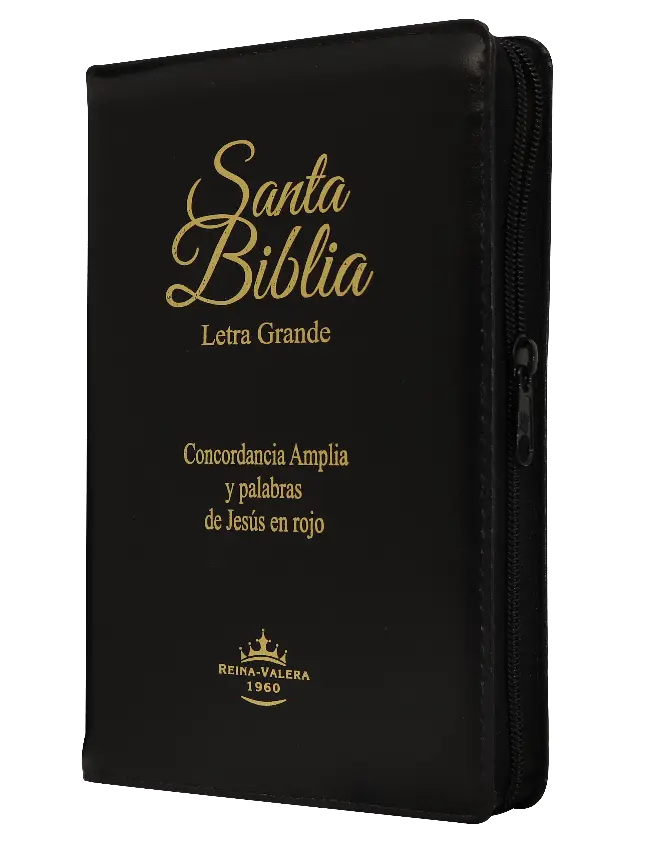 Biblia Reina Valera 1960 Mediana Letra Grande Imitación Piel Negro [RVR055CLGPJRZTIa]