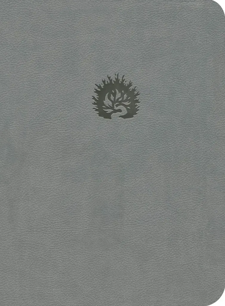 La Biblia de Estudio de La Reforma LBLA Gris