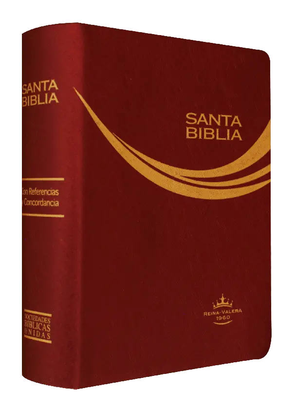 Biblia Reina Valera 1960 Tamaño Bolsillo Letra Chica Vinil Vino String [RVR022c]