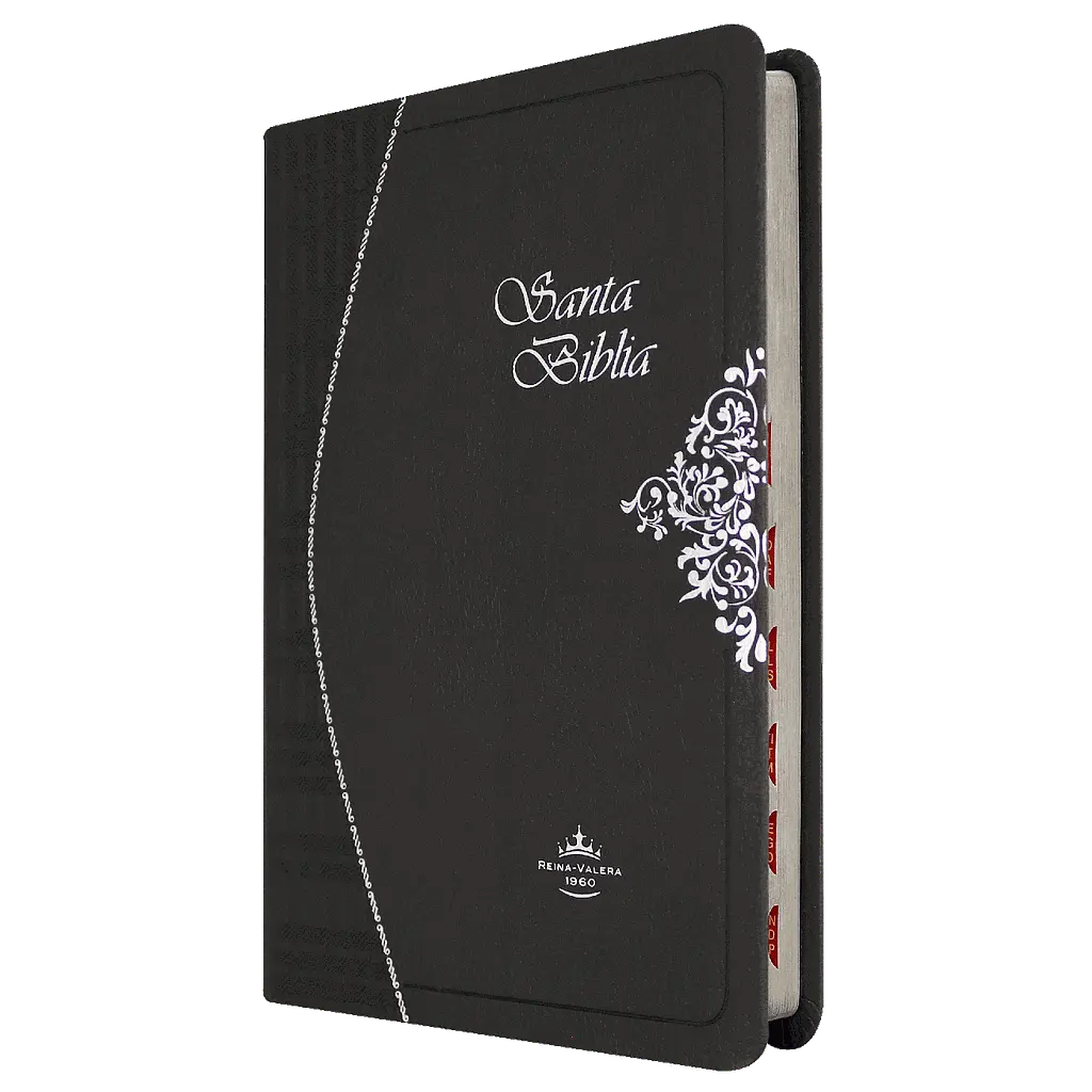 Biblia Reina Valera 1960 Mediana Imitación Piel Neat Gris [RVR065cTI]