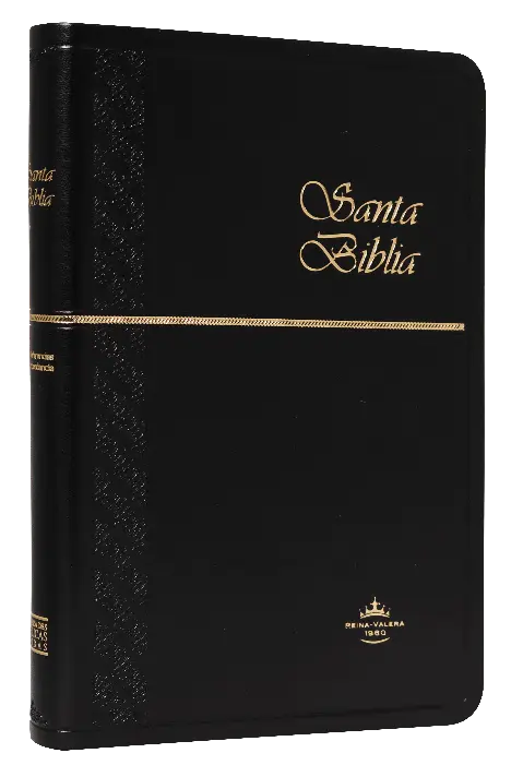 Biblia Reina Valera 1960 Mediana Letra Mediana Imitación Piel Negro Ultrafina [RVR065cX]