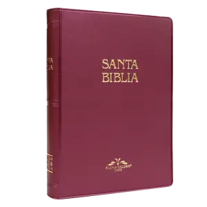 Biblia Reina Valera 1909 Mediana Letra Mediana Vinil Vino [VR052]
