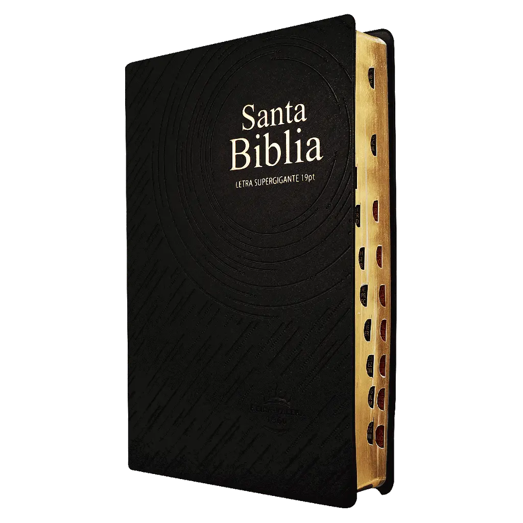 Biblia Reina Valera 1960 Grande Letra Gigante Vinil Negro [RVR0820LSGiPJRTI]