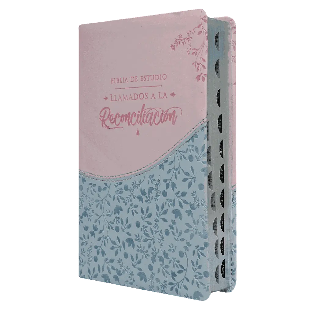 Biblia de Estudio Reconciliación Reina Valera 1960 Mediana Letra Grande Imitación Piel Azul Rosado [RVR065EETILG]