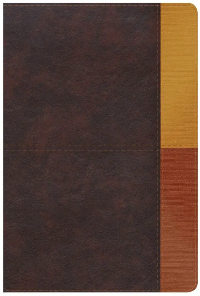 RVR 1960 Biblia de Estudio Arcoiris, cocoa/ terracota símil piel