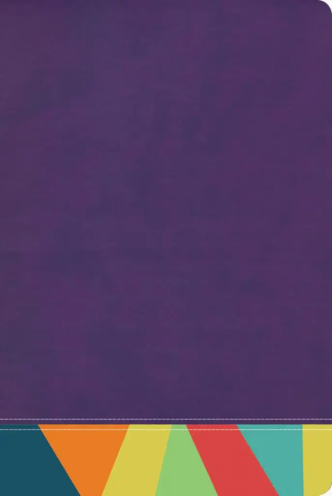 RVR 1960 Biblia de Estudio Arcoiris, morado/multicolor