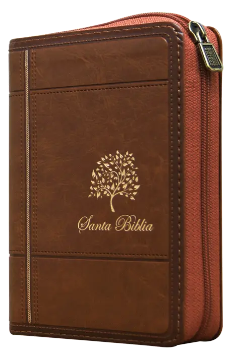 Biblia Reina Valera 1960 Tamaño Bolsillo Letra Mediana Imitación Piel Café [RVR025cZLG]