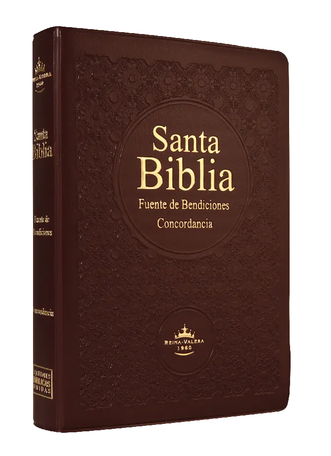 Biblia Fuente de Bendiciones Reina Valera 1960 Chica Letra Mediana Vinil Vino [RVR042cLMFB]