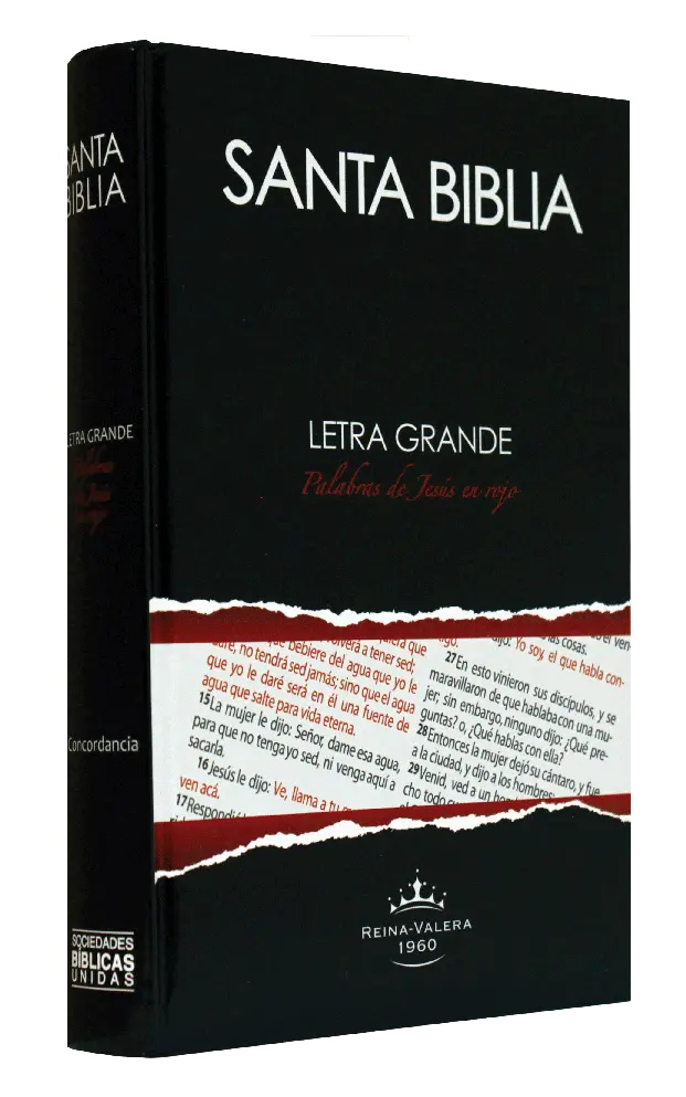 Biblia Reina Valera 1960 Mediana Letra Grande Tapa Dura Negro [RVR063cLGPJR]