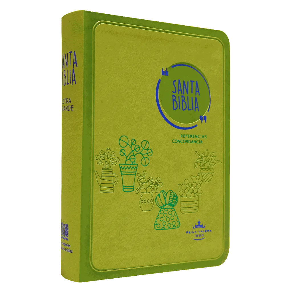 Biblia Reina Valera 1960 Mediana Letra Grande Imitación Piel Verde [RVR045cLG GA]