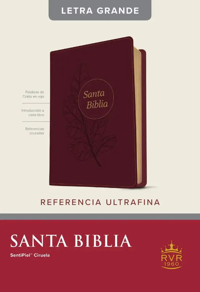 Santa Biblia RVR60, Ciruela, Edición de referencia ultrafina, letra grande