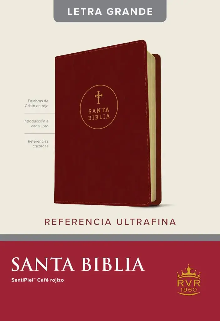 Santa Biblia RVR60, Rojizo, Edición de referencia ultrafina, letra grande