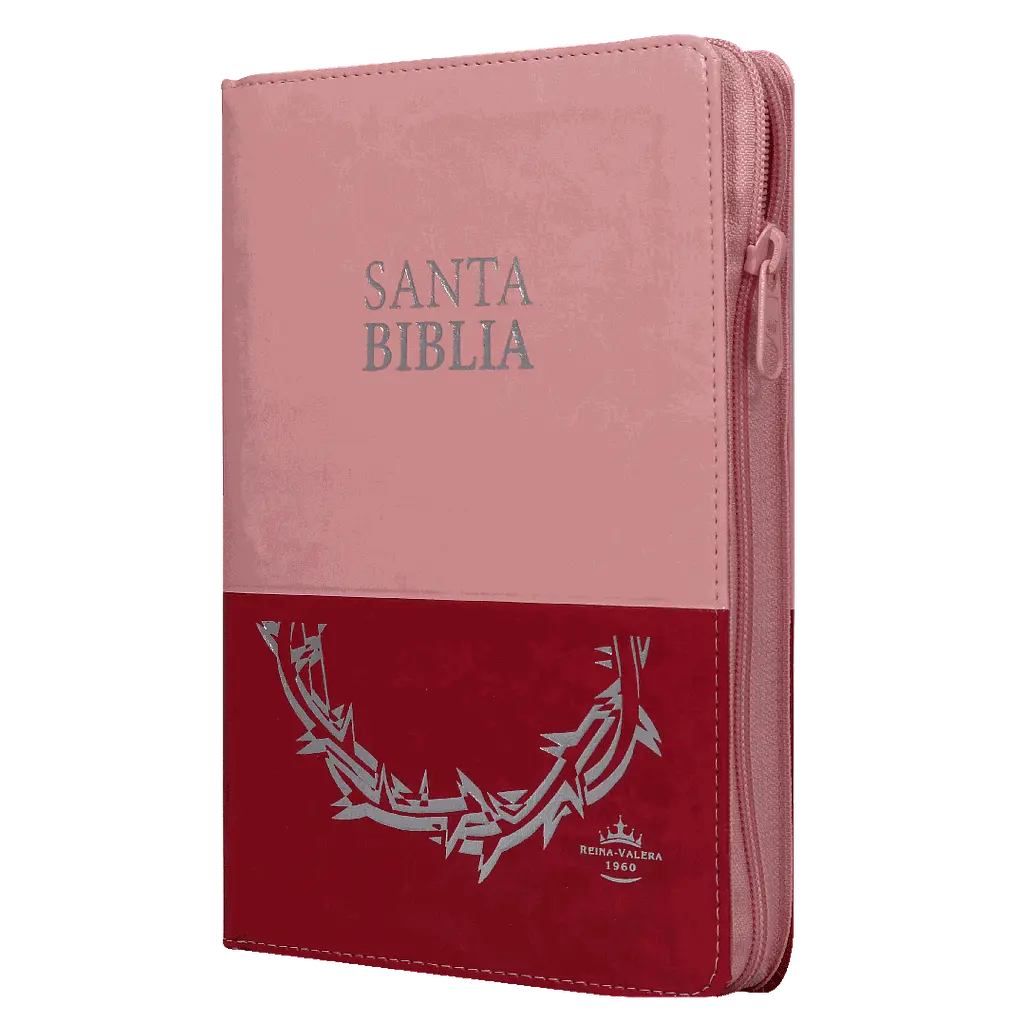 Biblia Reina Valera 1960 Mediana Letra Grande Imitación Piel Rosa Duotono [RVR066cLGPJRTIZABS]