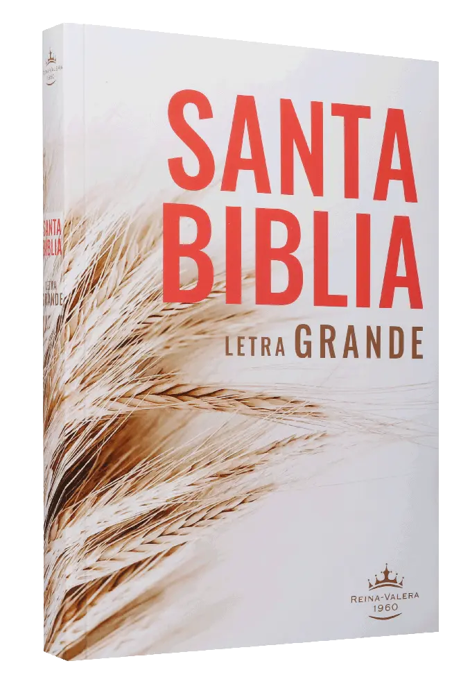 Biblia Reina Valera 1960 Grande Letra Gigante Rústica [RVR080LG]