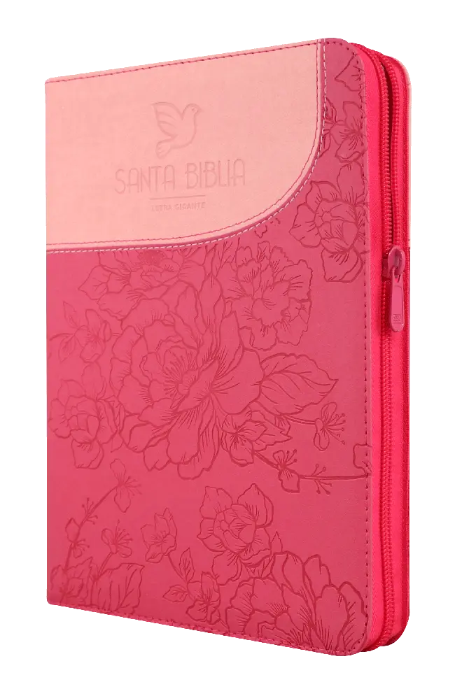 Biblia Reina Valera 1960 Grande Letra Gigante Imitación Piel Fushia Rosa Paloma Código QR [RVR086cZTILGiPJR]