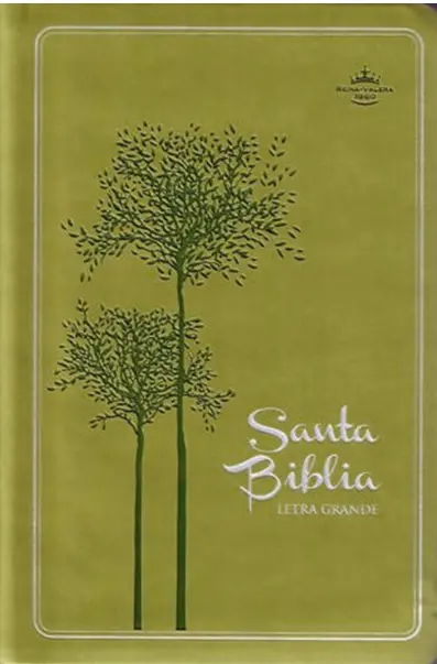 Biblia RVR1960 Verde Claro Imitación Piel