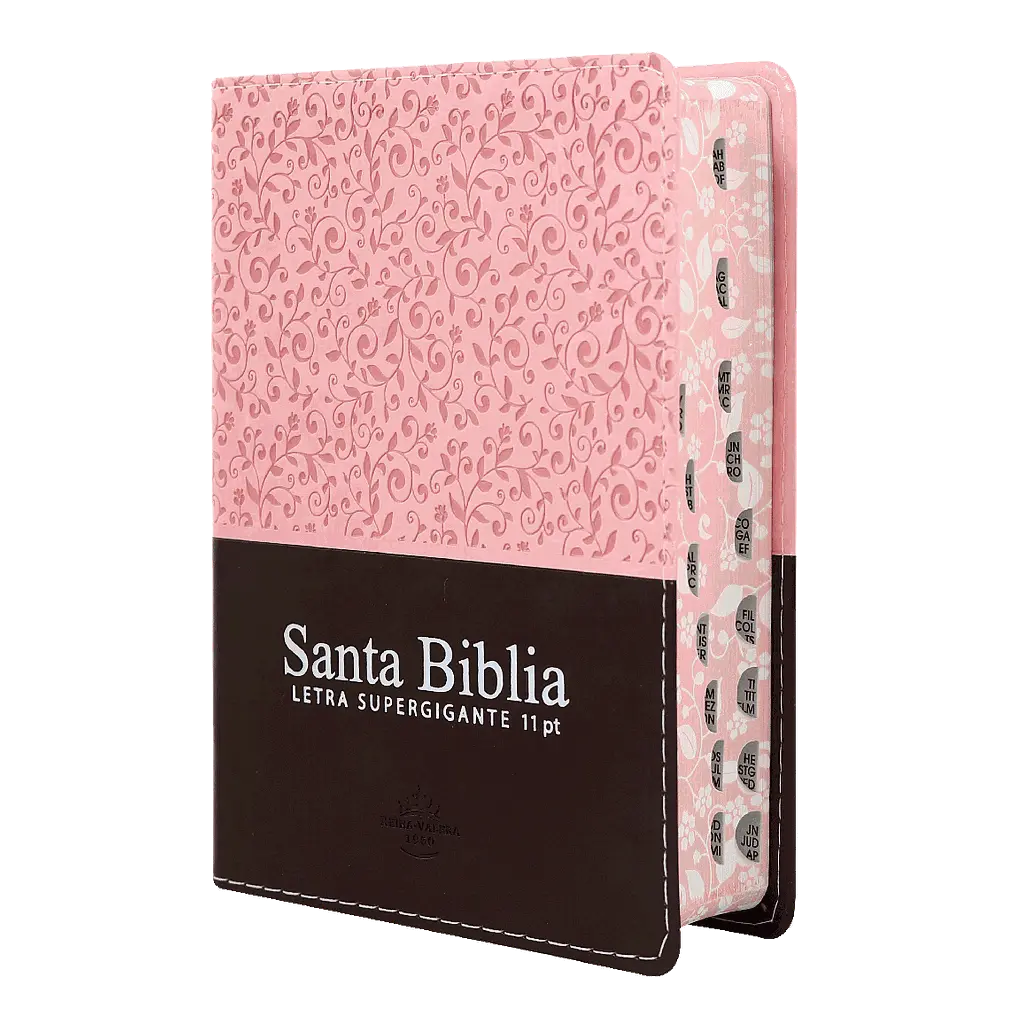 Biblia Reina Valera 1960 Chica Letra Grande Imitación Piel Rosa Marrón [RVR046cLSGiPJRTI]