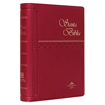 Biblia Reina Valera 1960 Chica Letra Chica Vinil Vino [RVR042c]