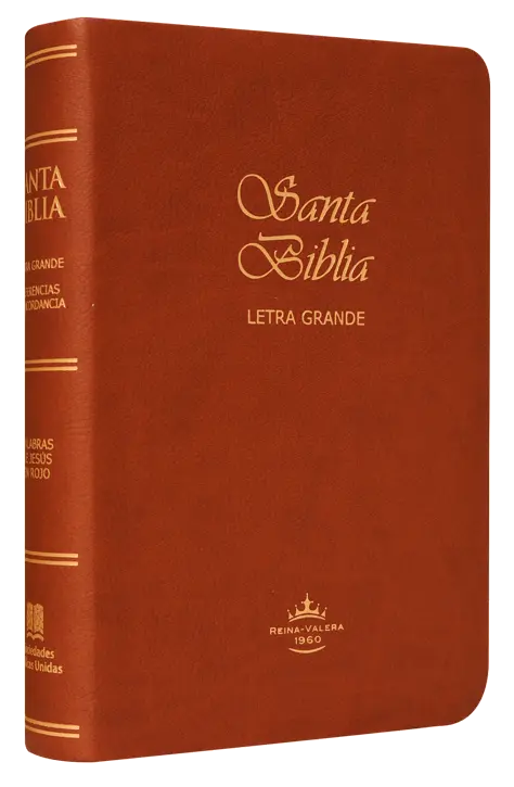 Biblia Reina Valera 1960 Mediana Letra Grande Imitación Piel Café [RVR065CLG]
