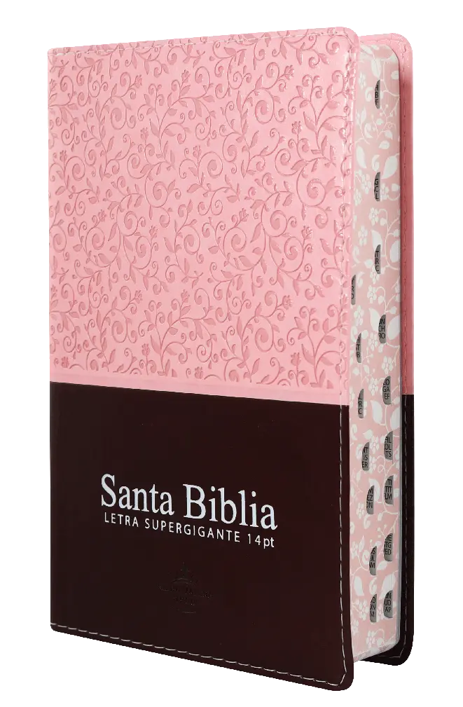 Biblia Reina Valera 1960 Mediana Letra Gigante Imitación Piel Rosa Marrón [RVR066cLSGiPJRTI]