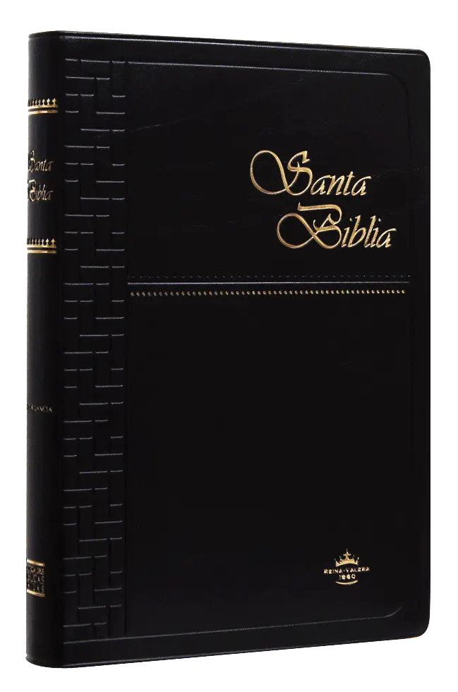 Biblia Reina Valera 1960 Mediana Letra Mediana Vinil Negro [RVR062c]