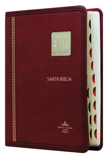 Biblia Reina Valera 1960 Chica Letra Mediana Imitación Piel Vino Placa [RVR045cLGTI]