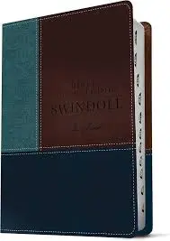 Biblia de estudio Swindoll NTV, Café, azul turquesa, con indicadores