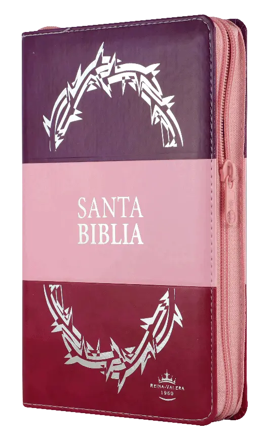 Biblia Reina Valera 1960 Mediana Letra Grande Imitación Piel Morado Rosa [RVR066cLGPJRTIZABS]