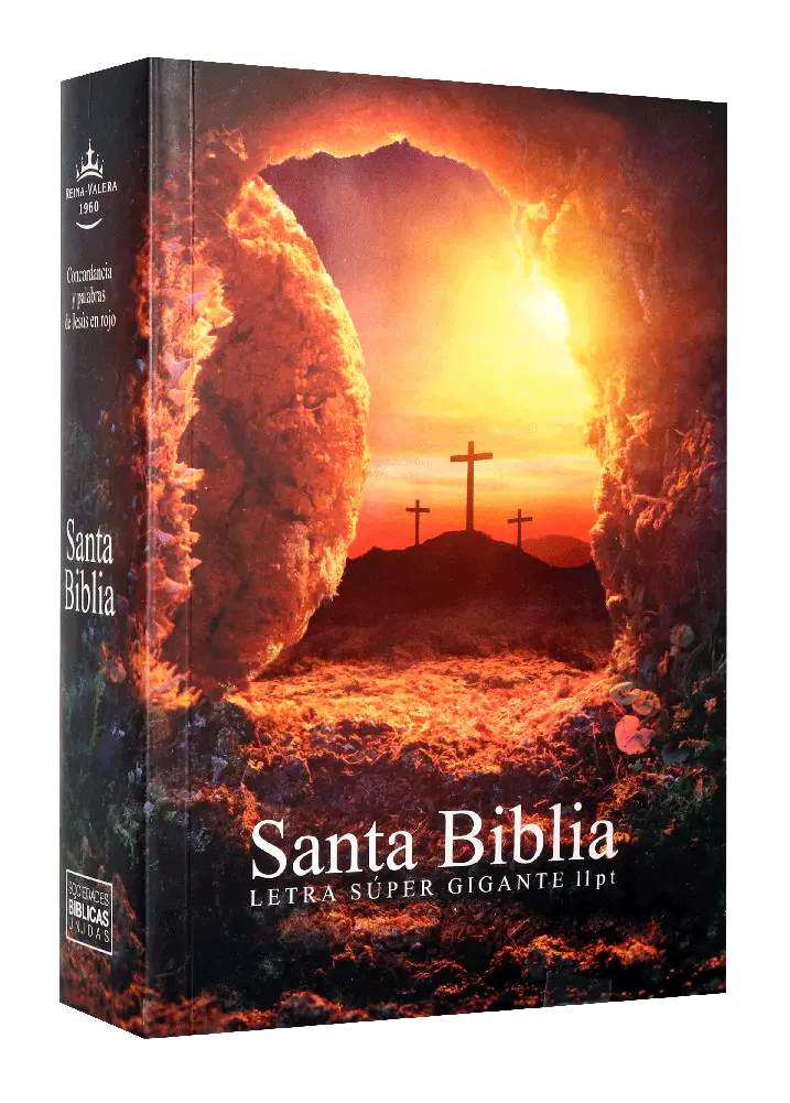 Biblia Reina Valera 1960 Chica Letra Grande Rústica Piedra [RVR040cLSGiPJR]