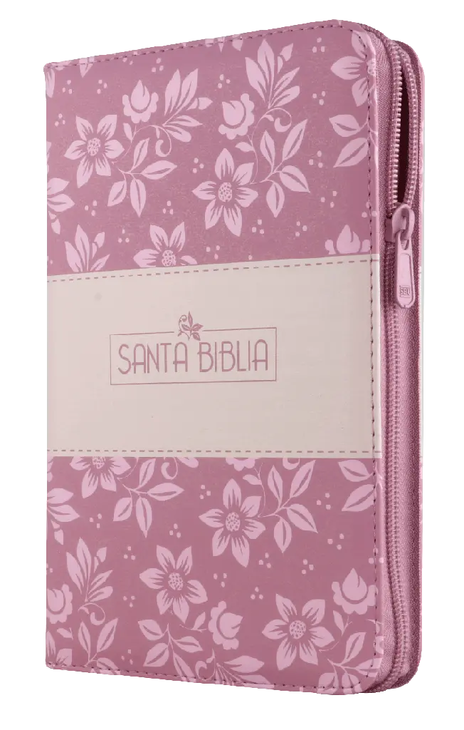 Biblia Reina Valera 1960 Mediana Letra Grande Imitación Piel Rosa Código QR [RVR065cZLGPJR]