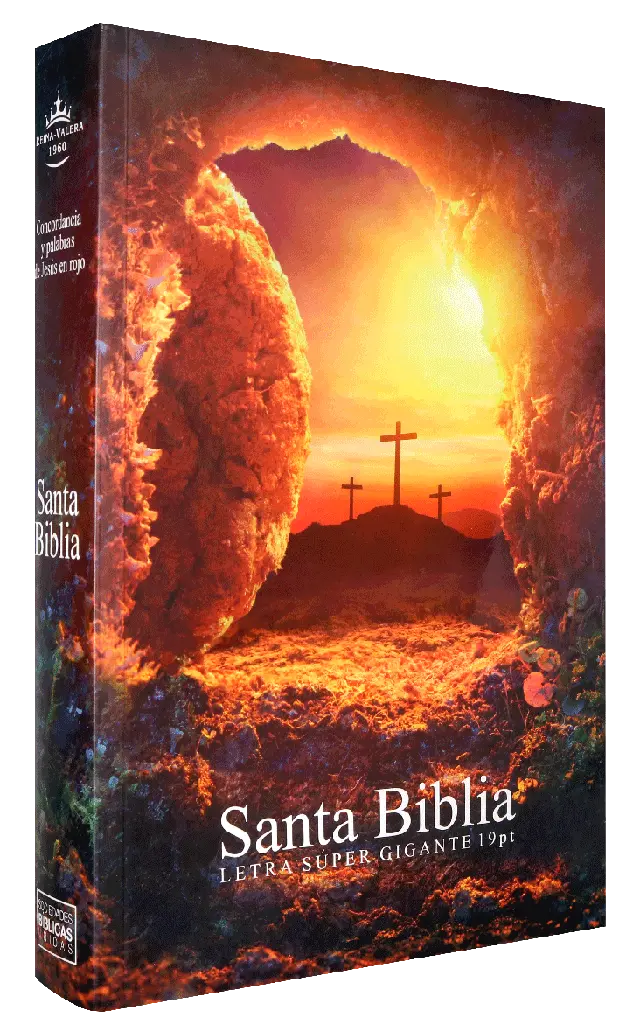 Biblia Reina Valera 1960 Grande Letra Supergigante Rústica Piedra [RVR080cLSGiPJR]