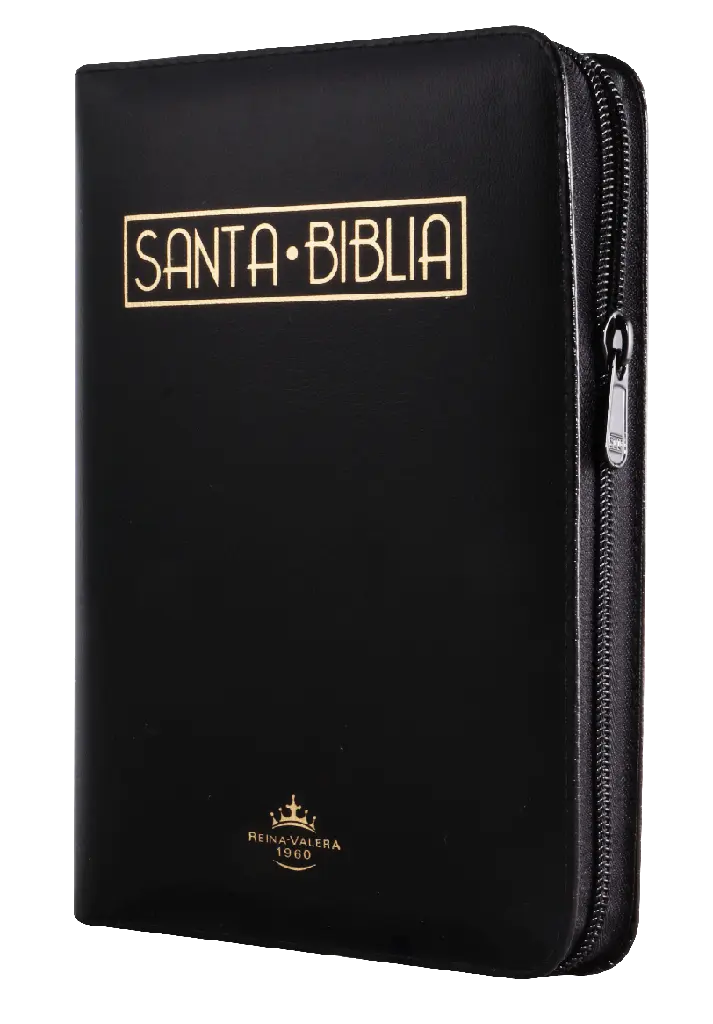 Biblia Reina Valera 1960 Mediana Letra Grande Imitación Piel Negro Código QR [RVR055cZTILGaPJR]