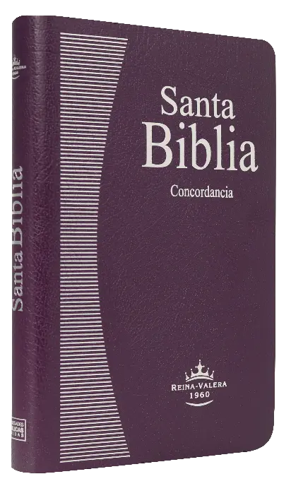 Biblia Reina Valera 1960 Mediana Letra Mediana Imitación Piel Lila [RVR065ec]