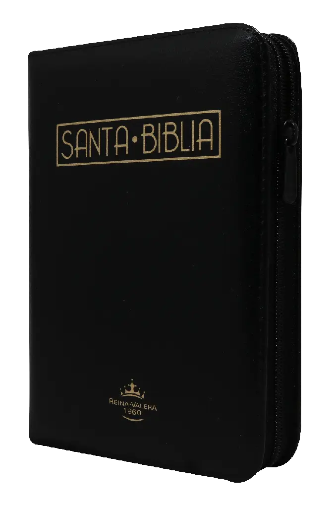 Biblia Reina Valera 1960 Mediana Letra Grande Imitación Piel Negro Código QR [RVR055cZLGaPJR]