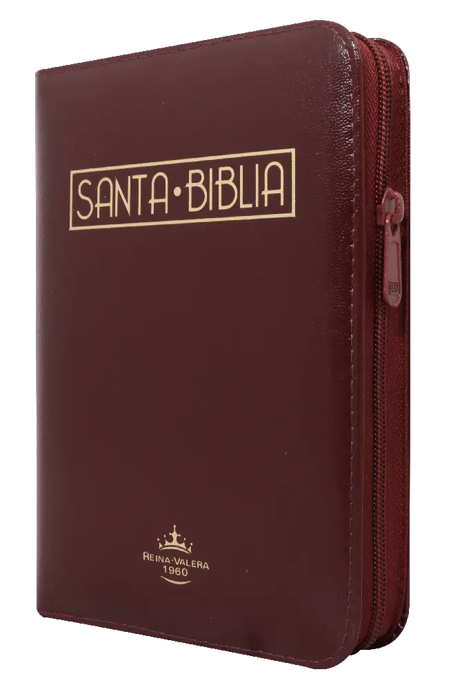 Biblia Reina Valera 1960 Mediana Letra Grande Imitación Piel Vino Tinto Código QR [RVR055cZLGaPJR]