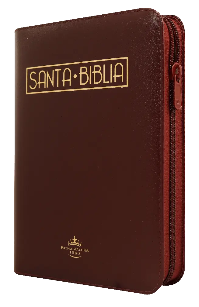Biblia Reina Valera 1960 Mediana Letra Grande Imitación Piel Vino Tinto Código QR [RVR055cZTILGaPJR]
