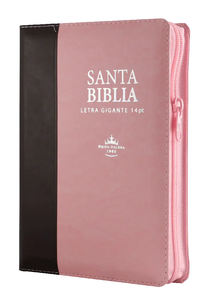 Biblia Reina Valera 1960 Mediana Letra Gigante Imitación Piel Rosa Marrón [RVR066cLSGiPJRZTI]