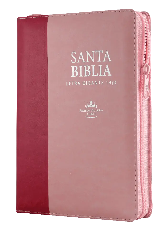 Biblia Reina Valera 1960 Mediana Letra Gigante Imitación Piel Rosa Rosa [RVR066cLSGiPJRZTI]