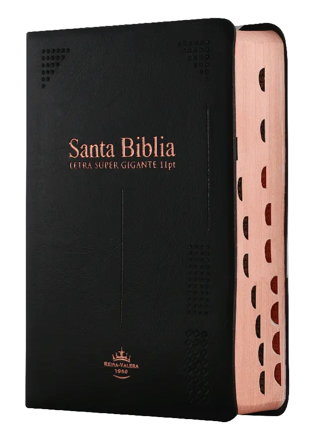 Biblia Reina Valera 1960 Chica Letra Grande Vinil Negro [RVR042cLSGiPJRTI]