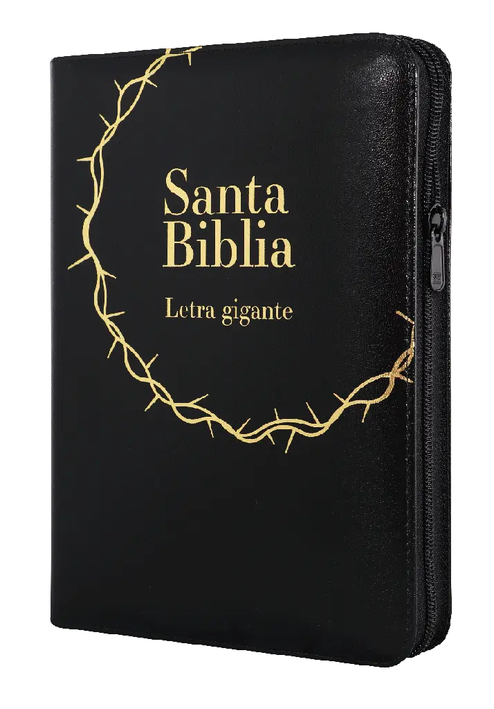 Biblia Reina Valera 1960 Grande Letra Gigante Imitación Piel Negro [RVR085cZLGiaPJR]