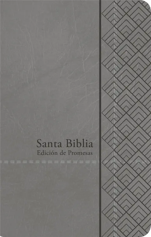 Santa Biblia de Promesas RVR-1960, Tamaño Manual / Letra Grande, Piel especial, Gris