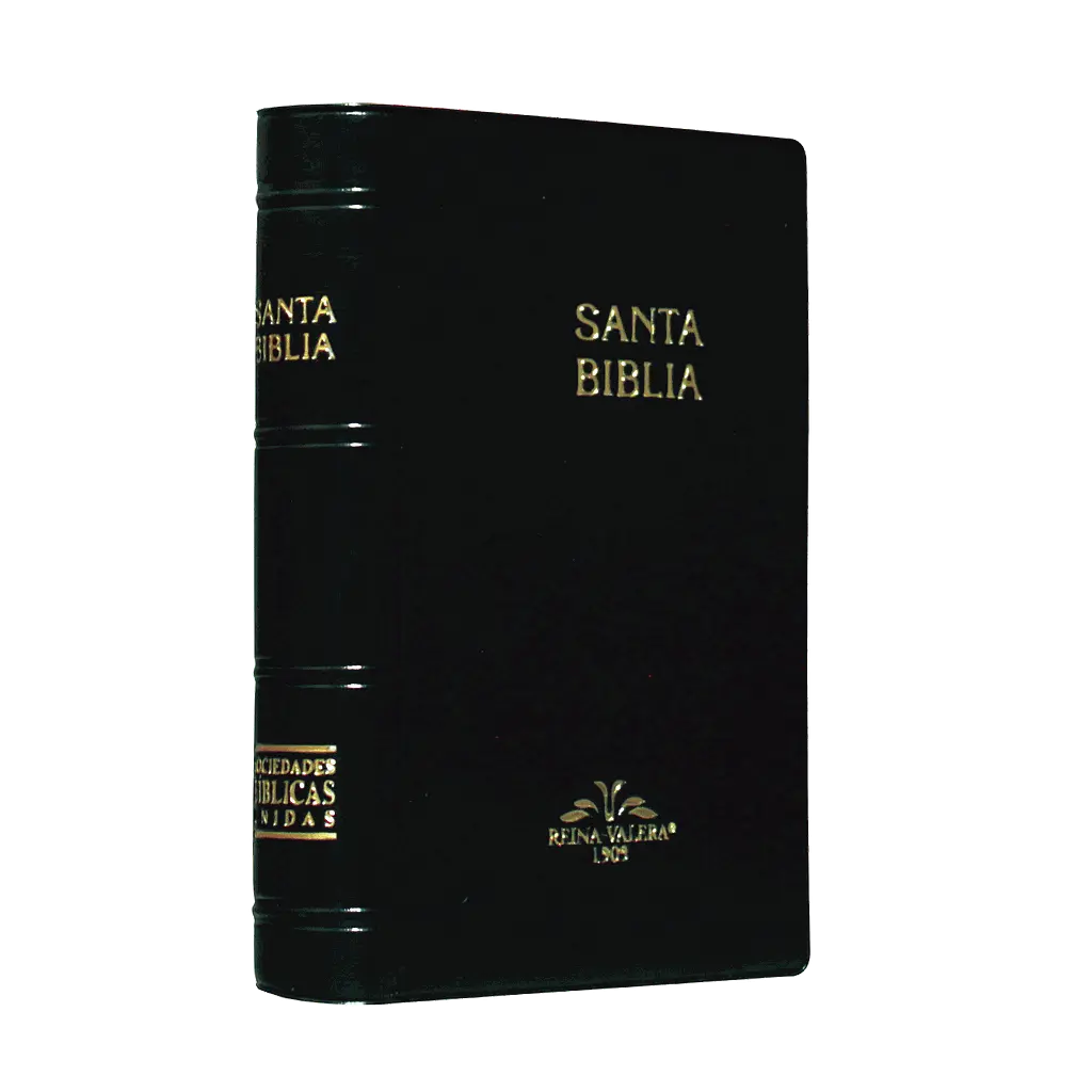 Biblia Reina Valera 1909 Tamaño Bolsillo Letra Chica Vinil Negro [VR022]