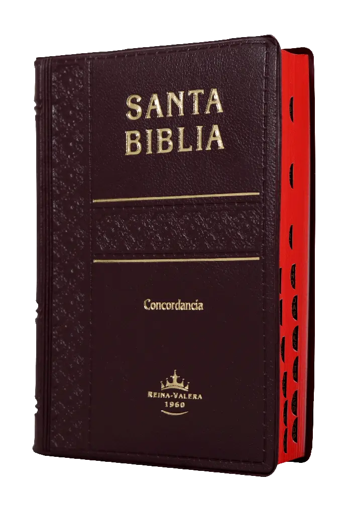 Biblia Reina Valera 1960 Tamaño Bolsillo Letra Chica Vinil Vino [RVR022cLGTI]