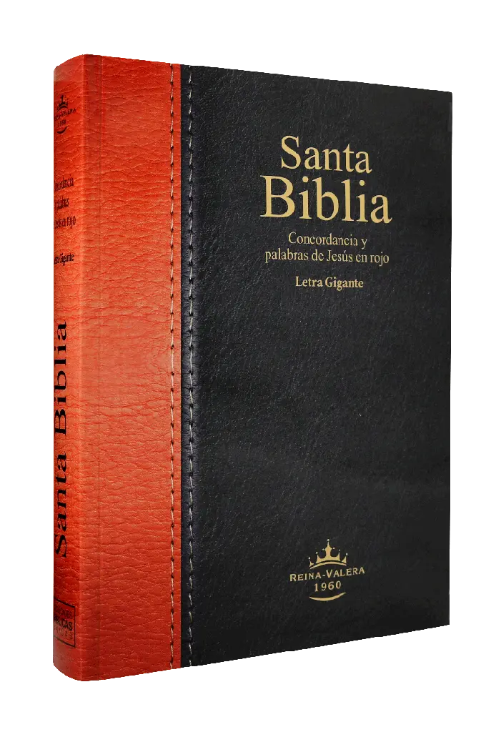 Biblia Reina Valera 1960 Grande Letra Gigante Rústica Negro Marrón [RVR080cLGiPJR]