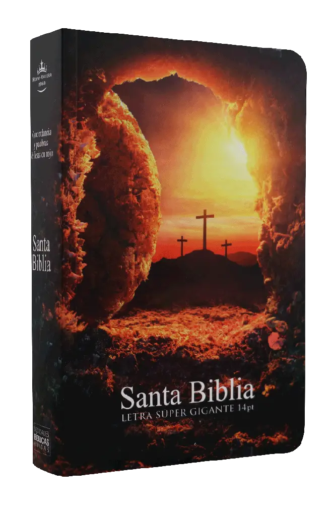 Biblia Reina Valera 1960 Mediana Letra Gigante Rústica Piedra [RVR060cLSGiPJRPTS]