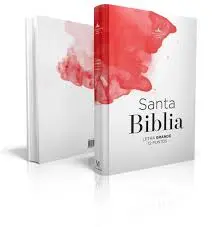Biblia Reina Valera 1960 tamaño manual Letra Grande 12 puntos. Pintura Roja