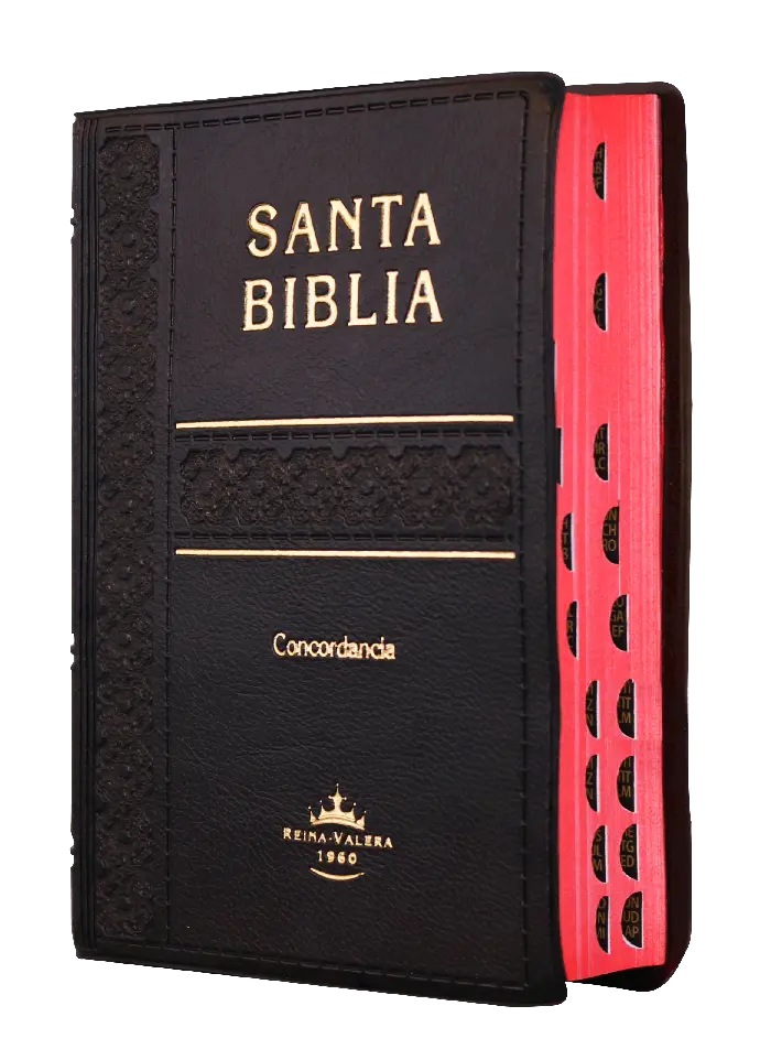 Biblia Reina Valera 1960 Tamaño Bolsillo Letra Chica Vinil Negro [RVR022cLGTI]