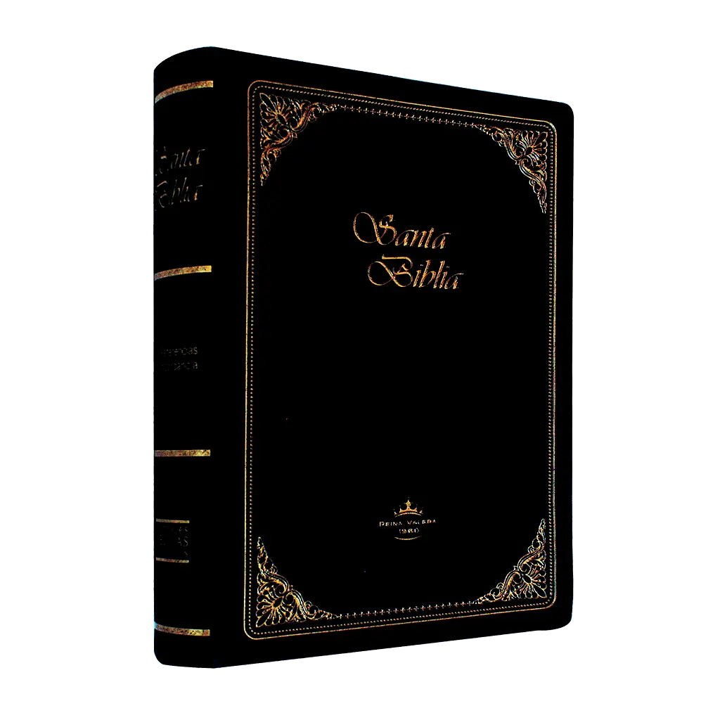 Biblia Reina Valera 1960 Chica Letra Chica Vinil Negro Imperial [RVR042c]