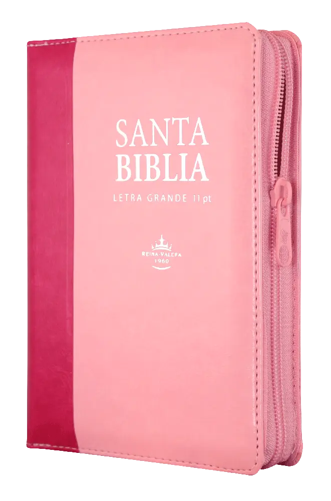 Biblia Reina Valera 1960 Chica Letra Grande Imitación Piel Rosa Rosa [RVR046cLSGIPJRZTIPU]